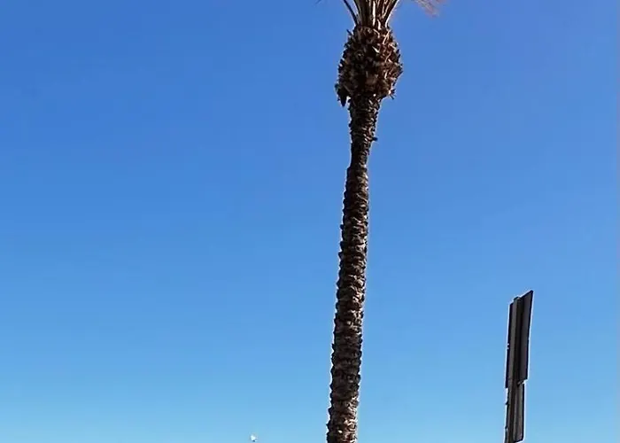 Lägenhet De Locos Torrevieja