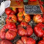 De Locos Торевьиа