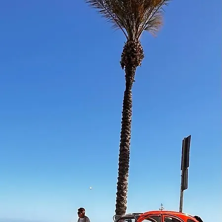 Διαμέρισμα De Locos Τορεβιέχα