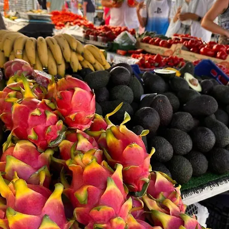 De Locos Τορεβιέχα