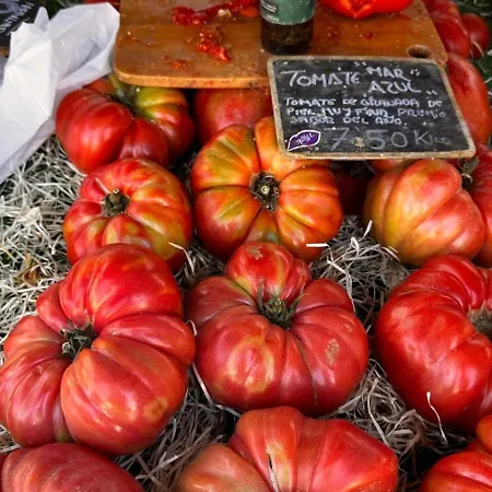 De Locos Τορεβιέχα